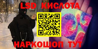 ГАЛЛЮЦИНОГЕННЫЕ ГРИБЫ Кингисепп