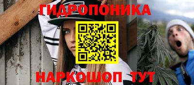 ГАЛЛЮЦИНОГЕННЫЕ ГРИБЫ Кингисепп