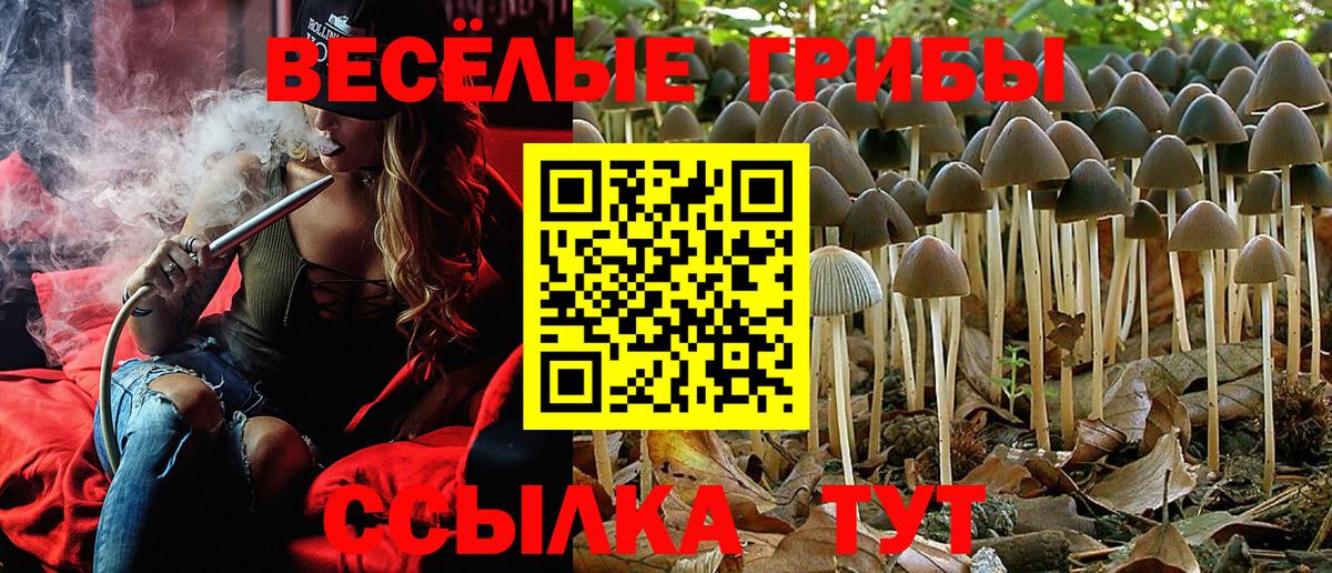 Псилоцибиновые грибы ЛСД Кимовск