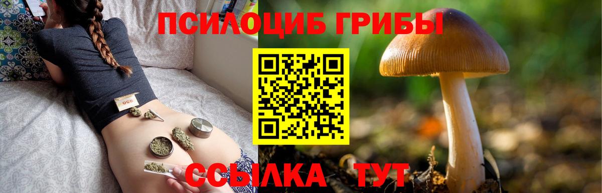 где купить наркоту  Галлюциногенные грибы MAGIC MUSHROOMS  Вход с VPN  Кимовск 